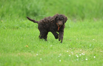 카톡 친구추가하는법 간단 요약 15