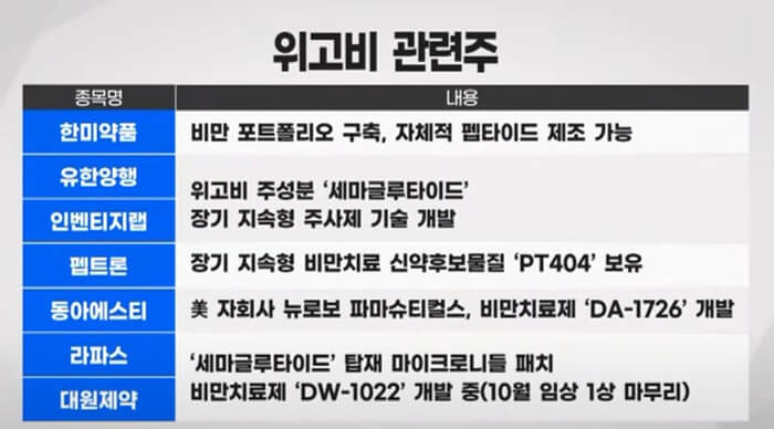 위고비-관련주-정리