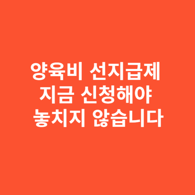 양육비 선지급제 지금 신청해야 놓치지 않습니다