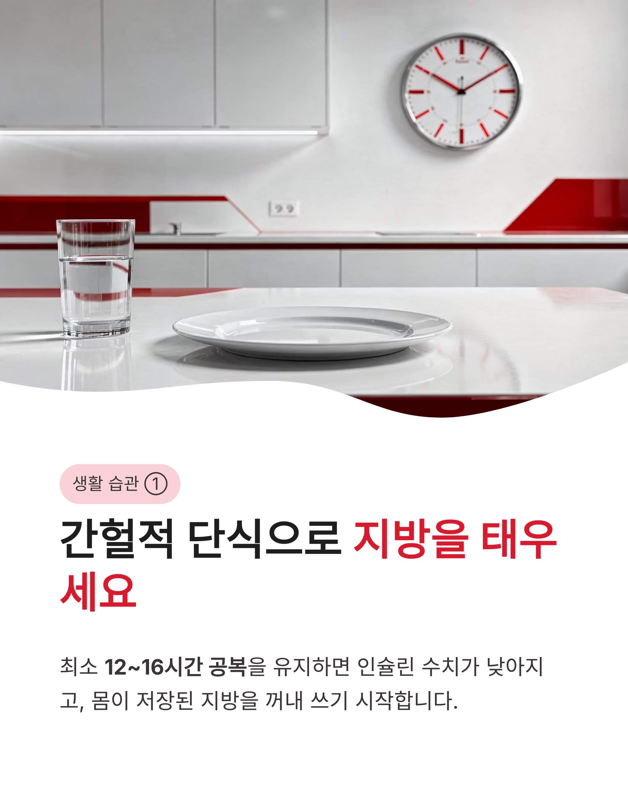 인슐린 저항성과 다이어트와의 관계, 뱃살이 안 빠지는 진짜 이유와 해결법 총정리!