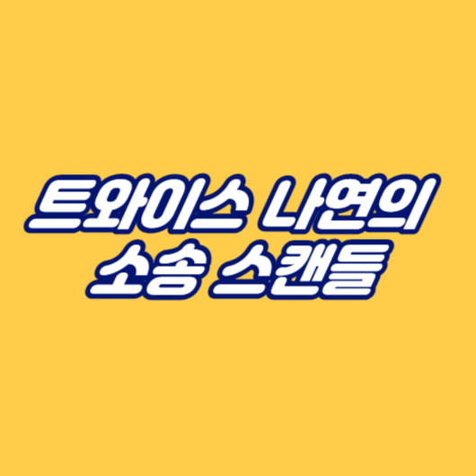 트와이스 나연의 소송 스캔들