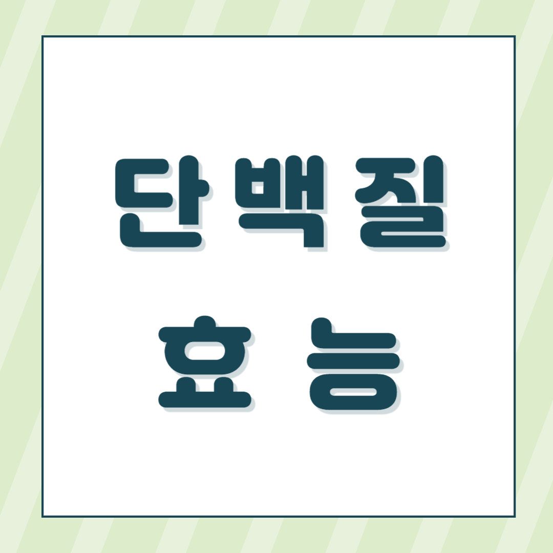 단백질 효능