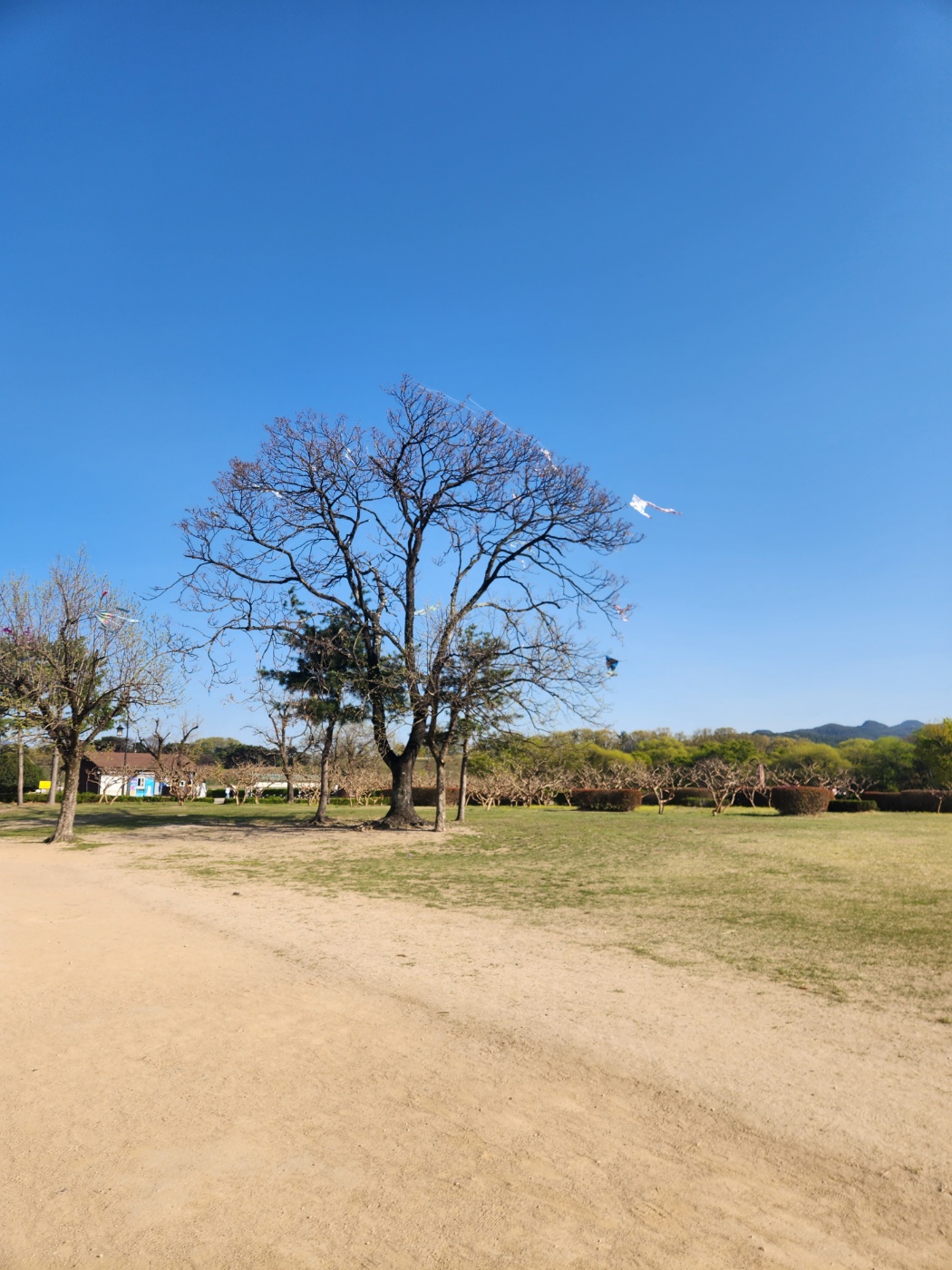 경주 첨성대