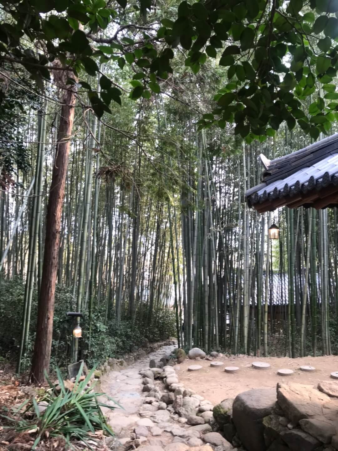 쌍산재 대나무 숲길