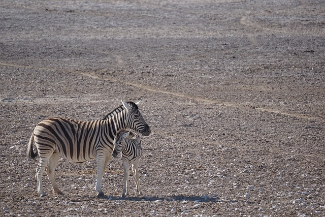 색깔 소음 12부작 시리즈 6탄 그레이 노이즈가 스트레스 반응을 빠르게 낮추는 구조 회색소음과 신경계 안정 메커니즘 분석