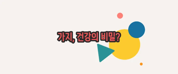 가지 효능 살짝 들여다봅시다