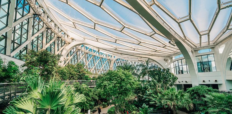 해남 땅끝수목원 관람 가이드