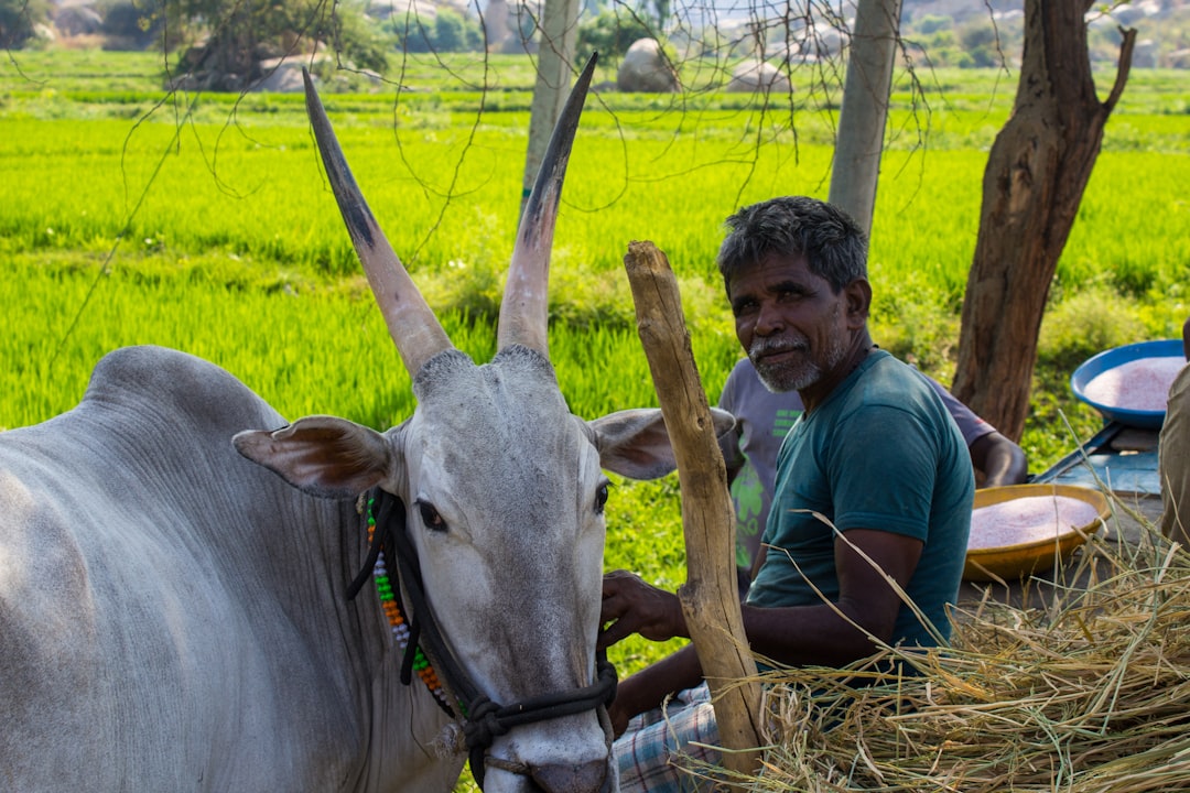 Farmers' Basic Income
