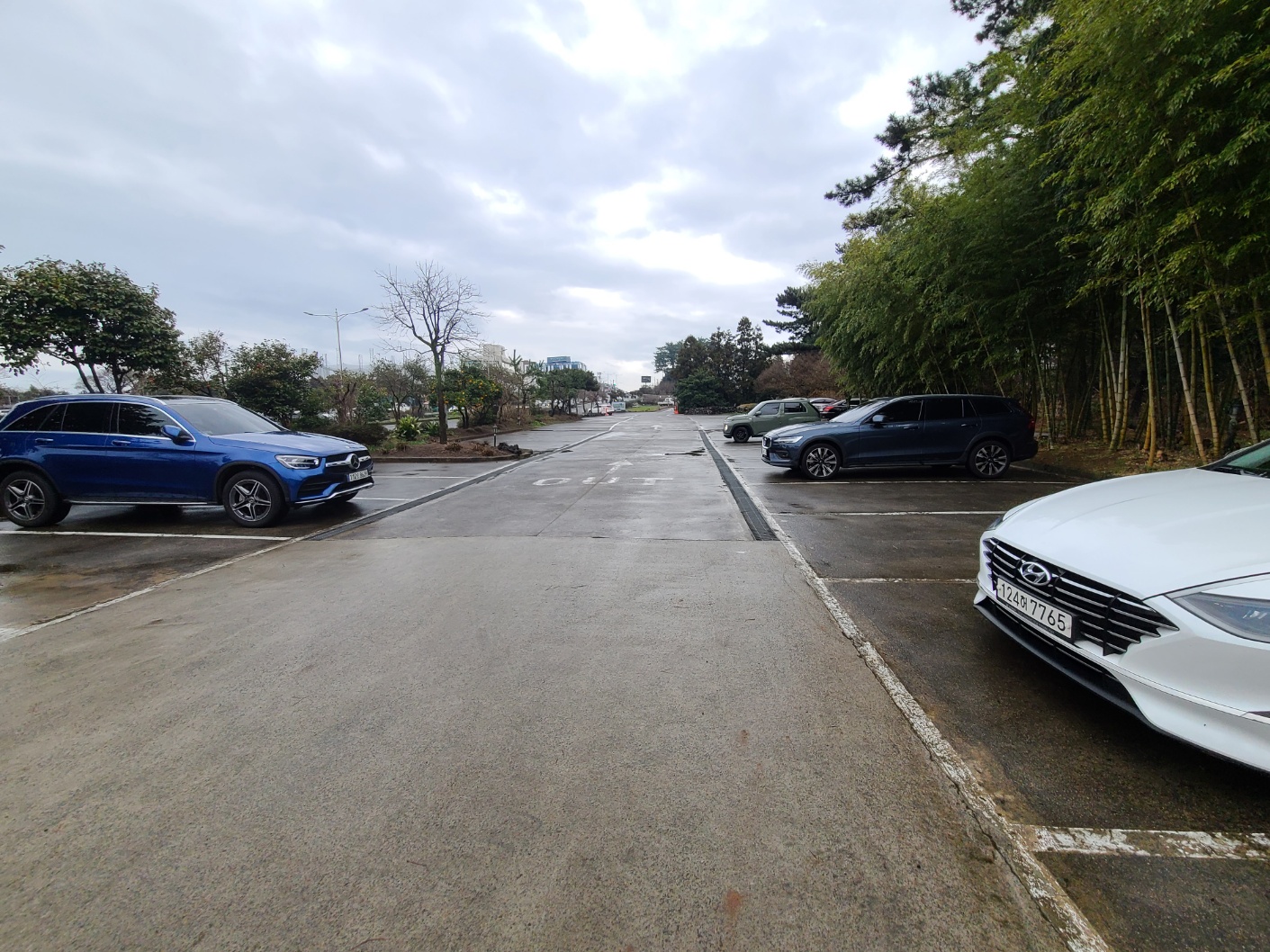 제주도 여행 제주도 맛집 추천