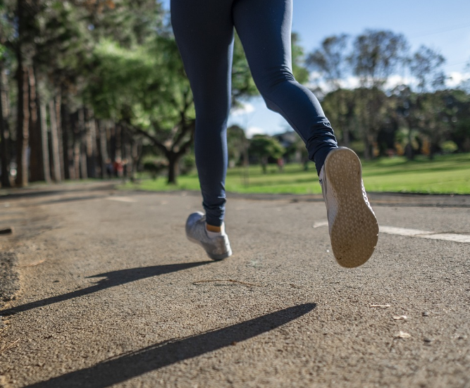 허벅지 운동 관련 사진