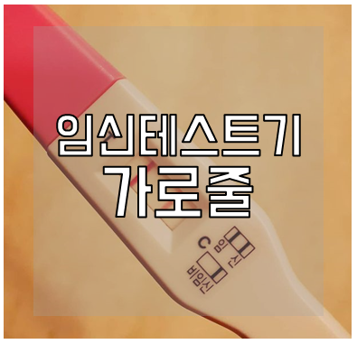 임신테스트기 가로줄