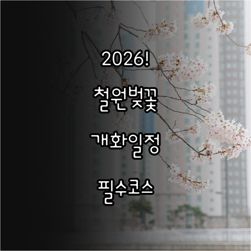 2026 철원 벚꽃 개화 시기 명소 ..