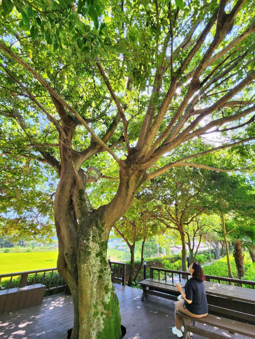 특색 있고 아름다운 민간 정원 30선 추천 여행 - 17. 고흥 하담정 (남포미술관)