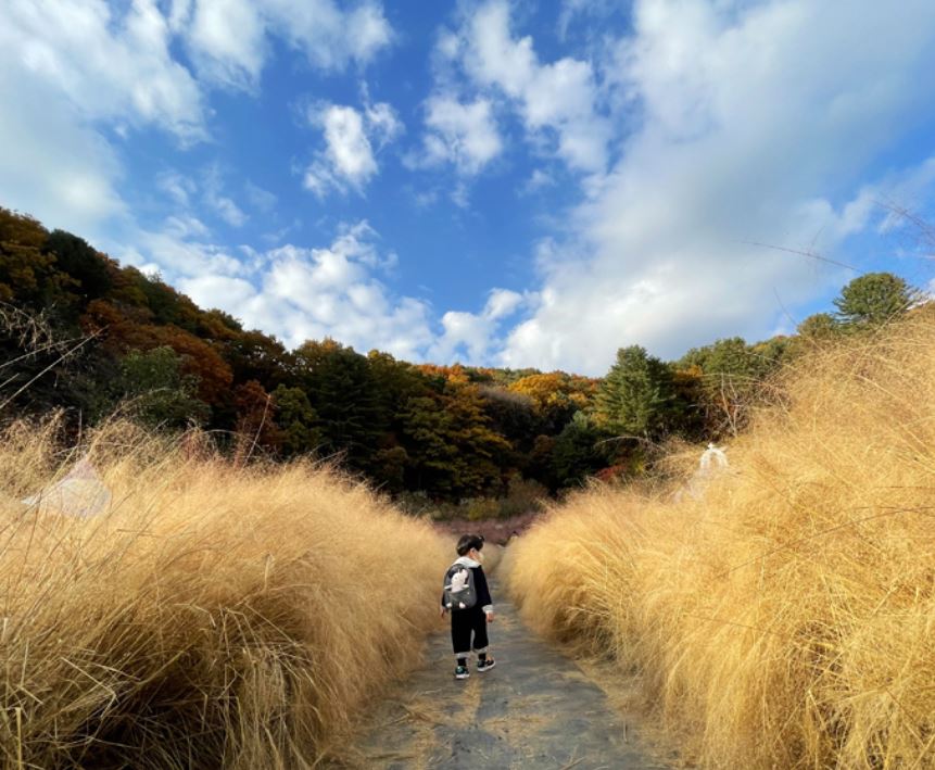 포천 허브아일랜드