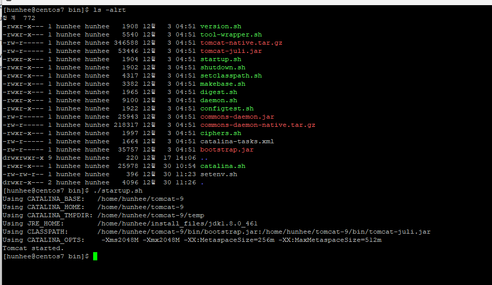 실행 결과 확인