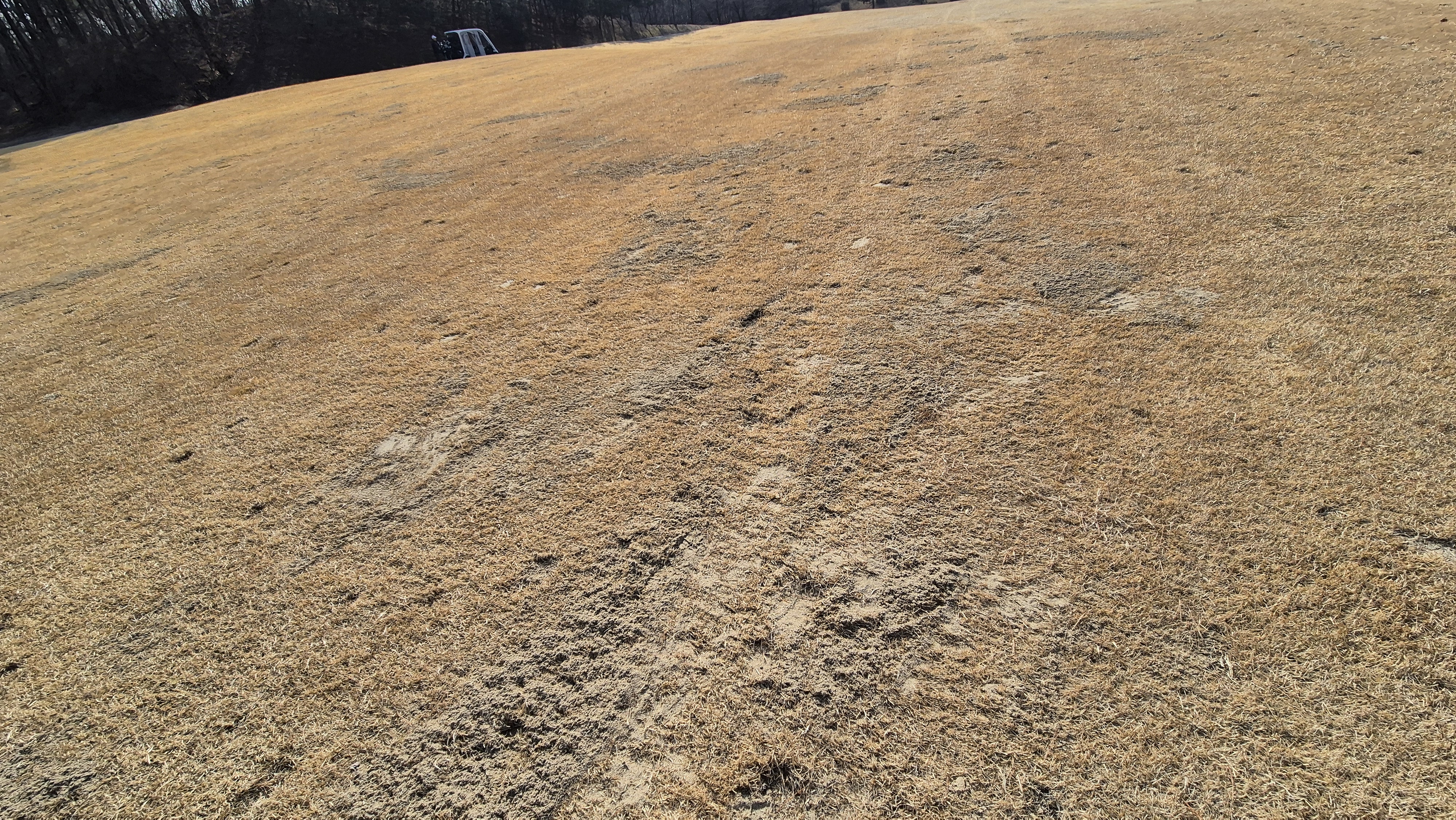 비에이비스타cc 호박-보나(퍼블릭) 코스 관리상태