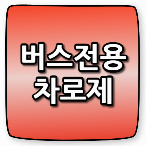 버스전용차로, 몰랐다간 과태료! 단속 시간&middot;기준 총정리