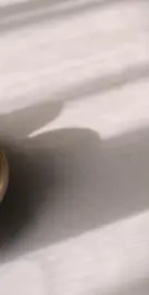 장건강에 좋은 음식과 습관