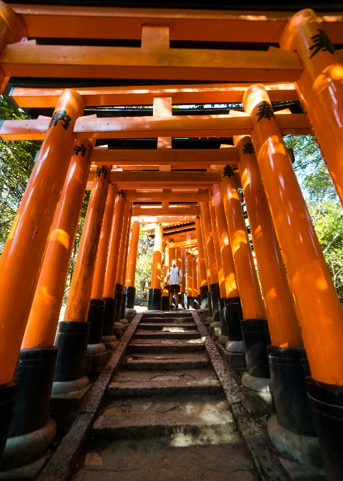 여름휴가트렌드