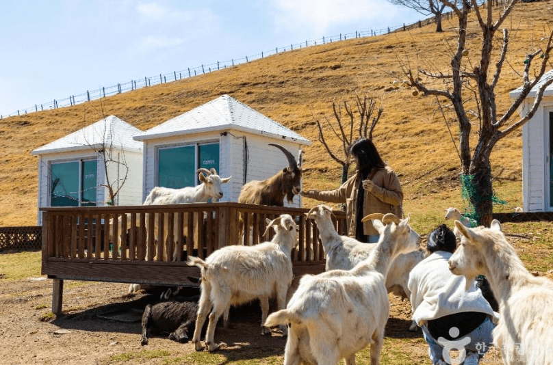 태백 가볼만한곳