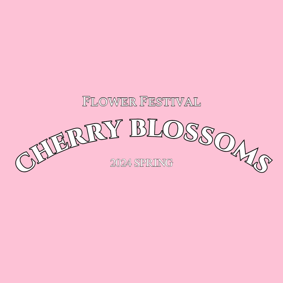 벚꽃축제 화담숲 모노레일