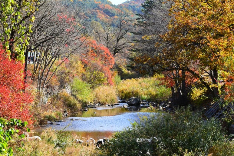 가평 '늘푸른쉼터' 캠핑장 미리보기