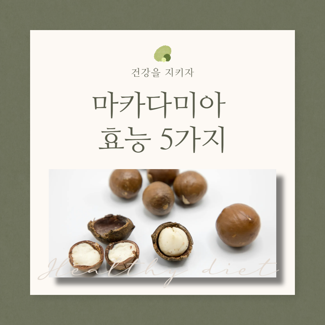 마카다미아 효능 5가지(치매 검사지 포함, 우리의 건강을 지키자)