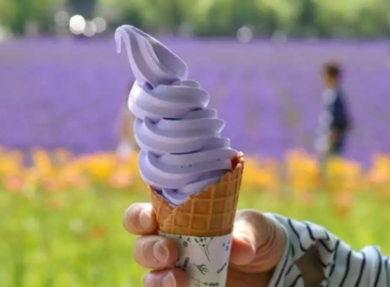라벤더-아이스크림
