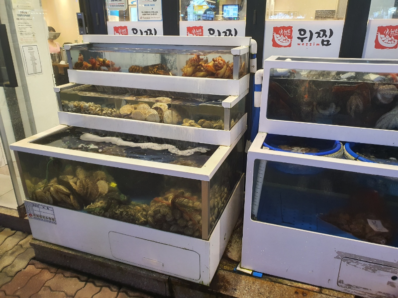 해물 1