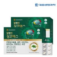 대웅생명과학 혈행엔 징코맥스 은행잎 추출물 혈행개선 기억력개선 영양제 120정, 2개