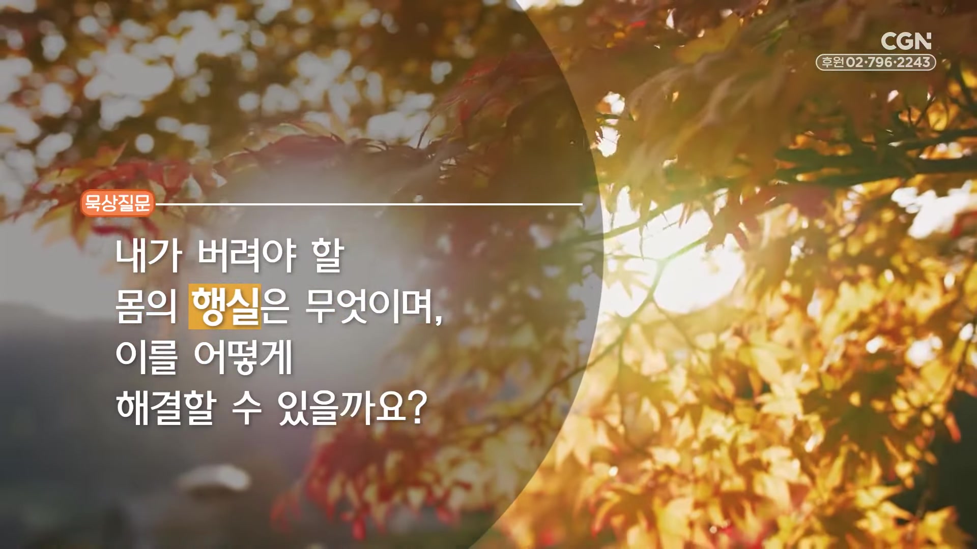 내가 버려야 할 몸의 행실은 무엇이며, 이를 어떻게 해결할 수 있을까요?