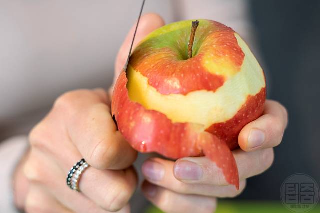 속눈썹 길어지는 음식 사과껍질 속눈썹연장