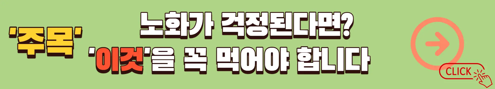 노화