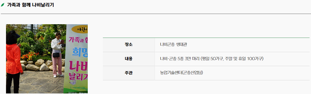 함평 나비 축제10