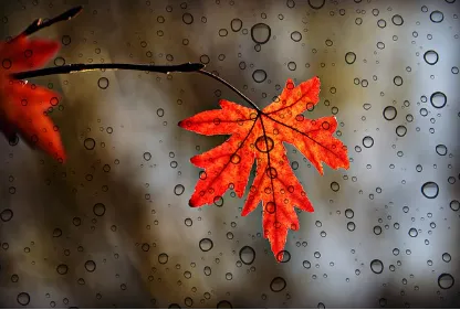 2024년 올해 장마기간 시작 예측 대비