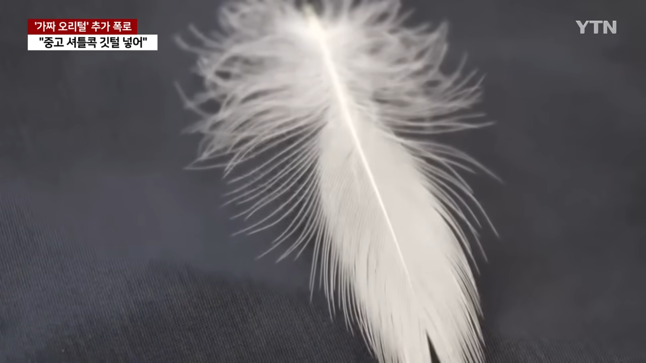 중국산 패딩 충격 진실 가짜 오리털 제조 영상 중고 셔틀콕