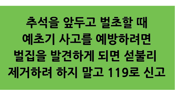 Alt 속성 문제 해결 설명 이미지