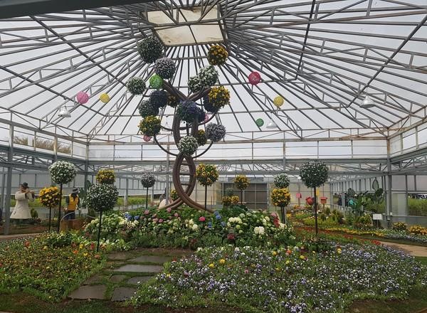 인천대공원 수목원 완벽 가이드: 수도권 최대 무료 도심 숲에서 만나는 사계절 힐링과 자연학습