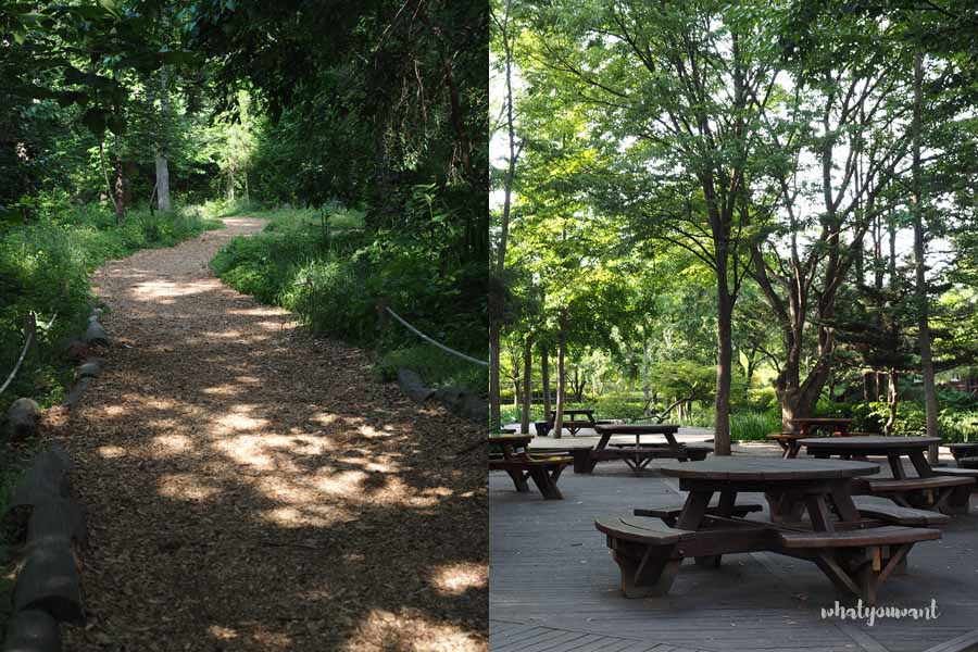 경기도 여름 나들이 추천, 물향기수목원