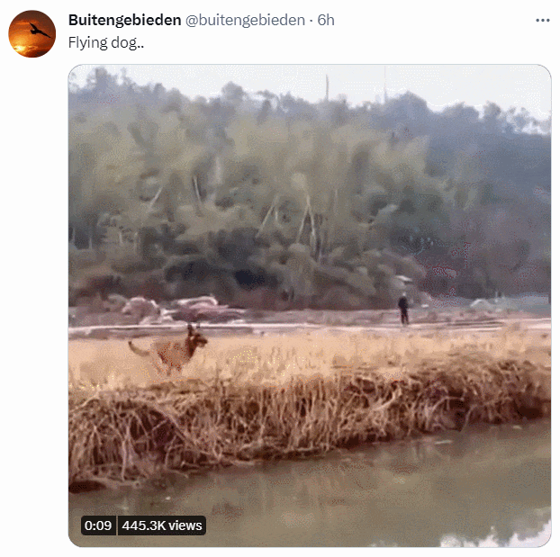 Amazing! animals!
