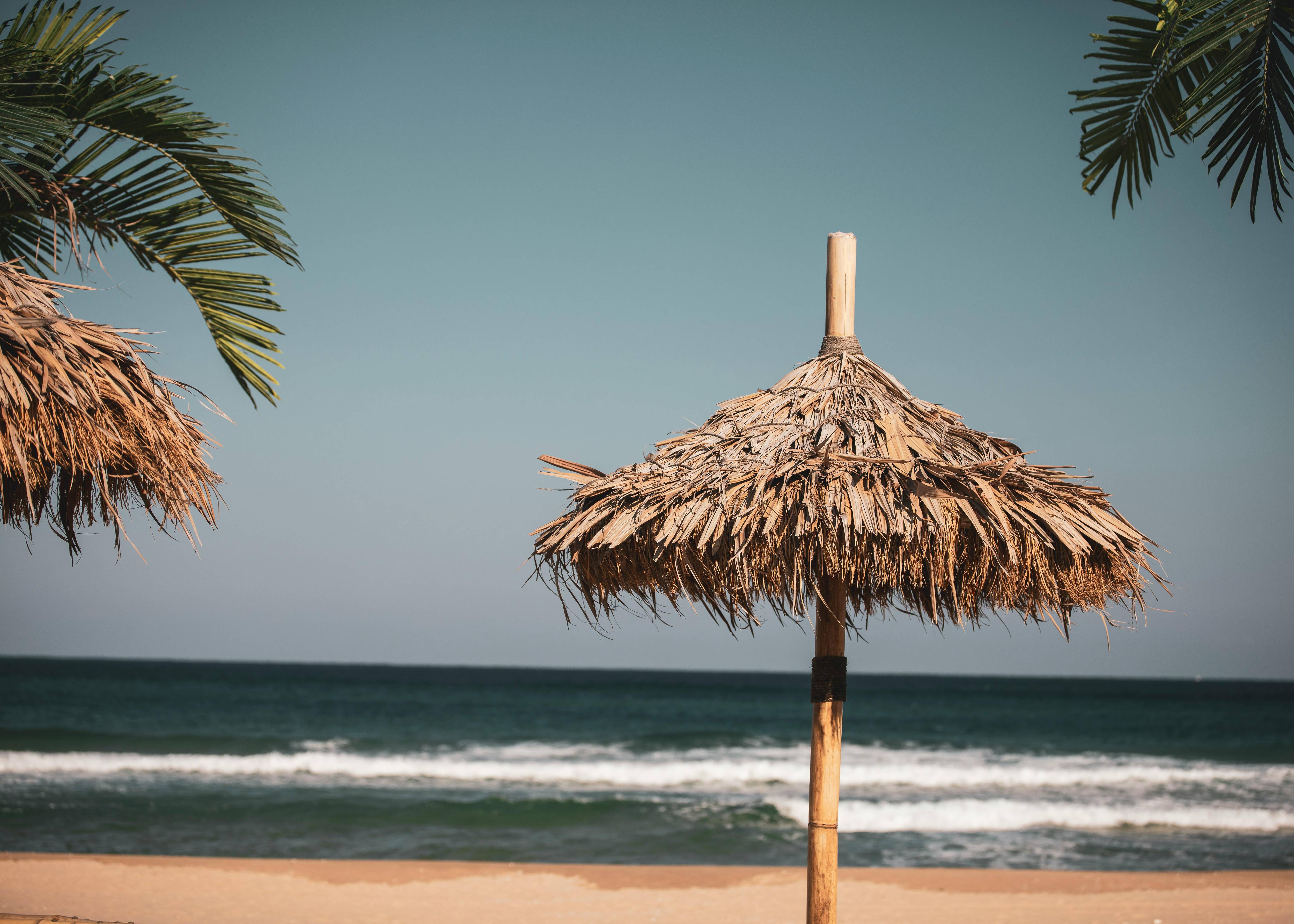 동해시 모습들 이미지