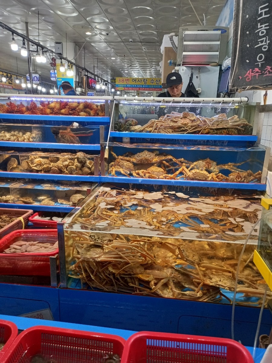 수산물 할인행사 및 대한민국 수산대전 총정리