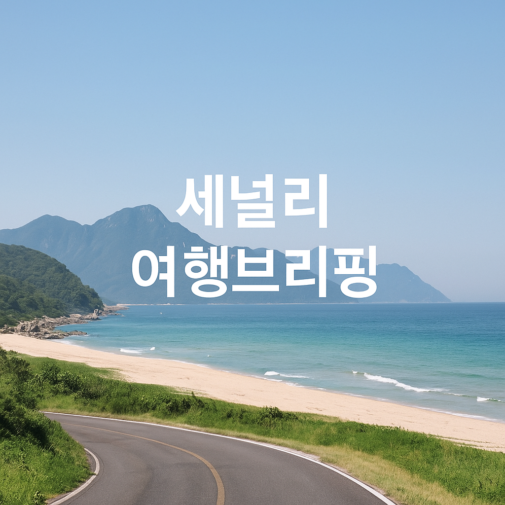 세널리 여행브리핑