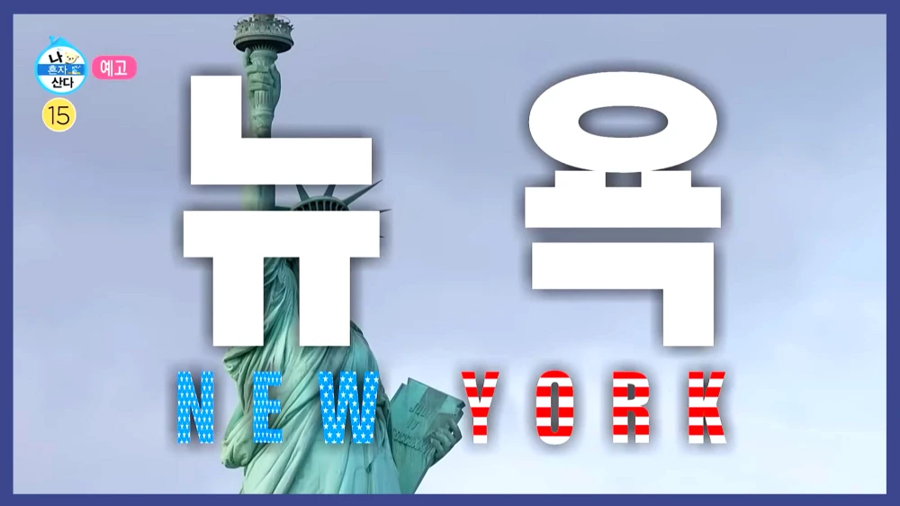 기안-84-뉴욕-마라톤-완주