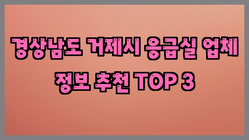 경상남도 거제시 응급실