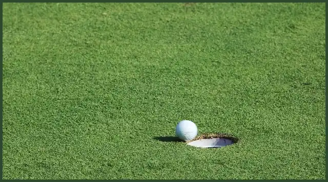 파크골프 공 4피스, 3피스, 2피스 차이점은?