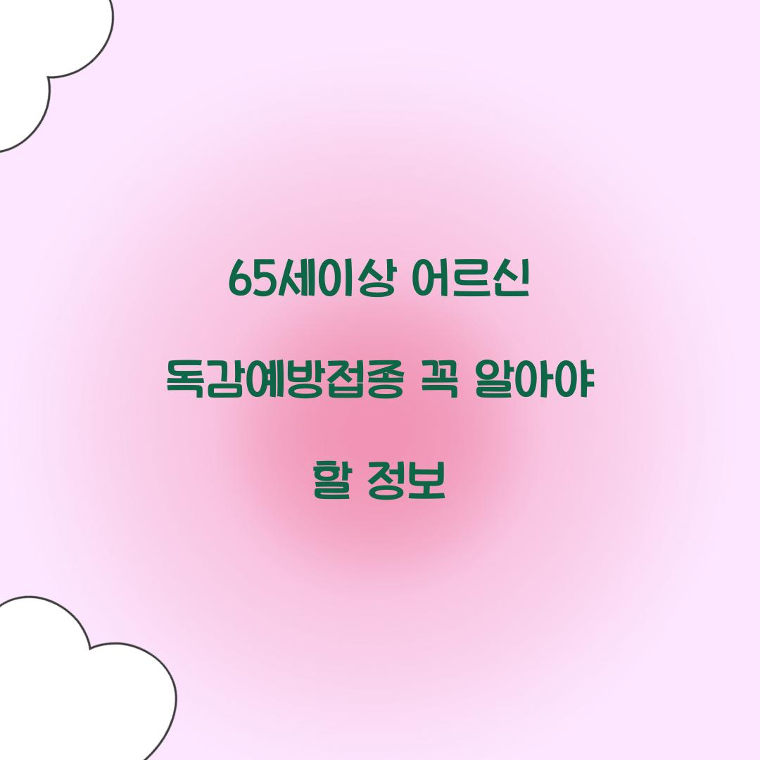 65세이상 어르신 독감예방접종