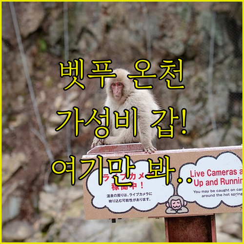 직접 확인한 오이타 가성비 숙소 벳푸..