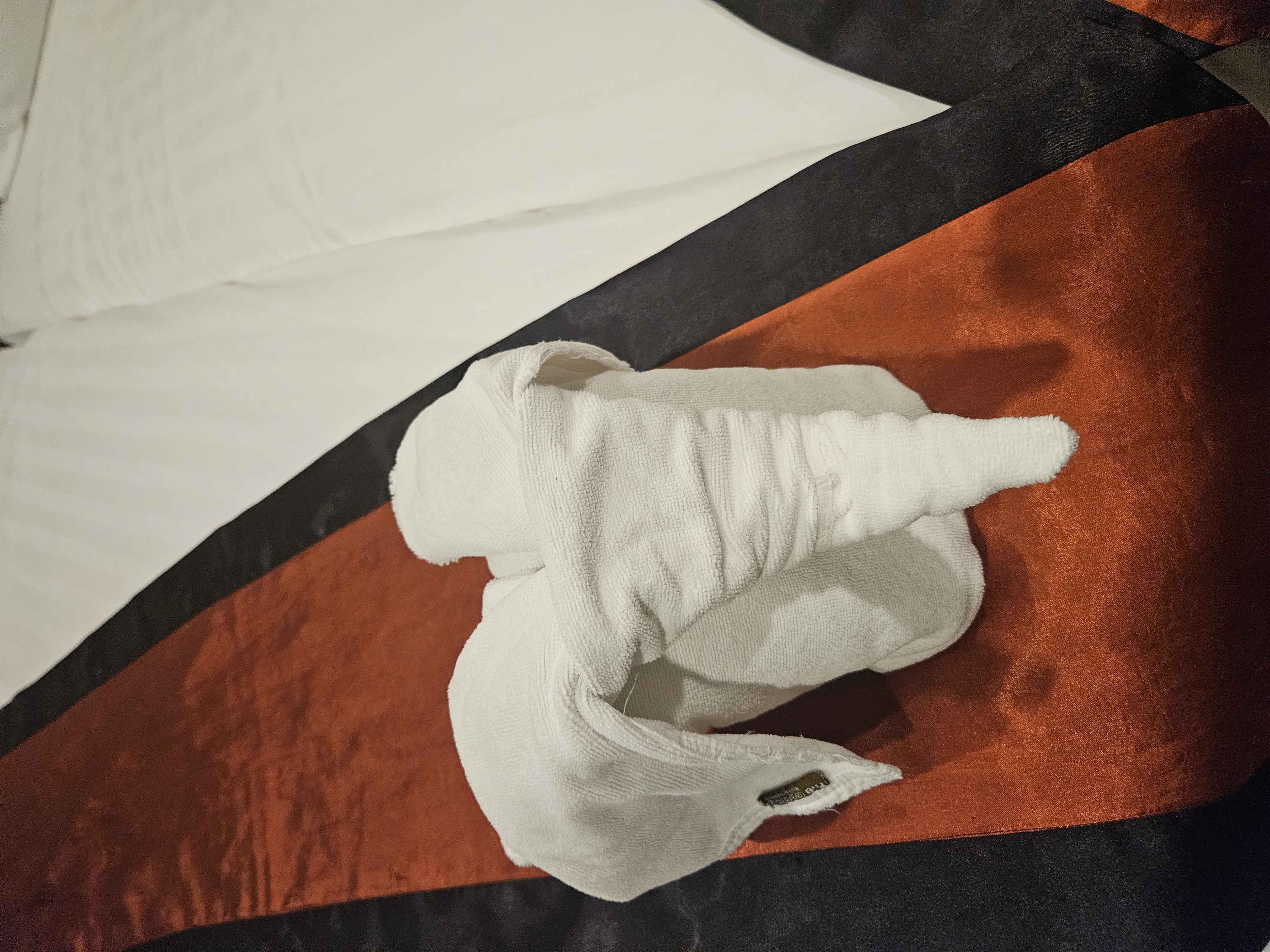 ๋งค์ฅ ์ฌ์ง