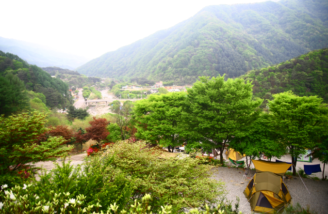 경기-가평-브라보-캠핑장-사진-입니다.